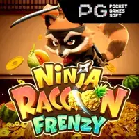 Ninja Raccon Frenzy